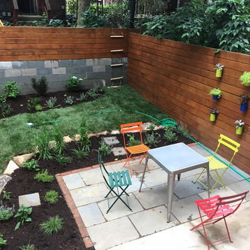 Contemporary Urban Backyard