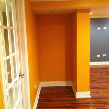 Chicago Suburbs basement