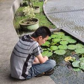 Victor Hadyanto's photo