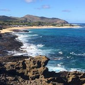 Laurie Adams's photo