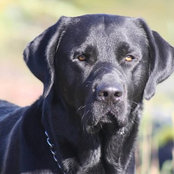 Foto von 10bigdog
