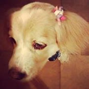 Susan Berch's photo