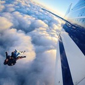 Peter Gray's photo