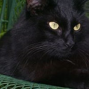 Kathlene Ford-Walters's photo
