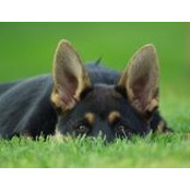 Chantal Piquette's photo