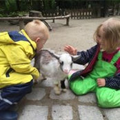 Ute Schmid's photo