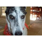 Teresa Koch's photo