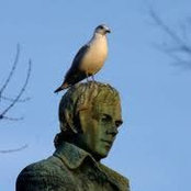 Tracy Oram's photo