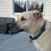 Todd Gerber's photo