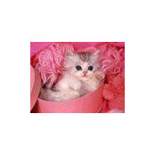 Bernadine Robinson's photo