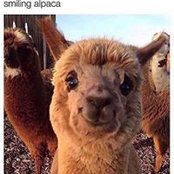 Sam Seeley's photo