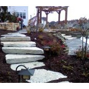 Horses Landscaping's photo