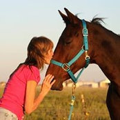 Darby Peterson's photo
