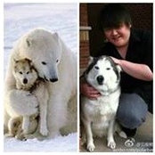 Bei Wang's photo
