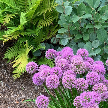 Secret Garden
