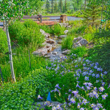 Landscape Ideas