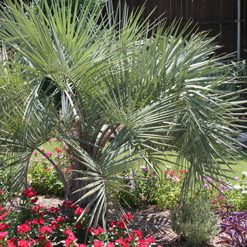 Mckinney Landscaping