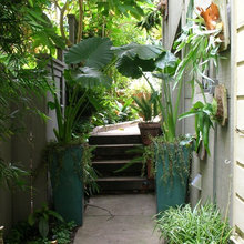 Side Yard