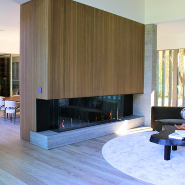 Sculptural Fireplace Wall as Architectural Divider