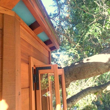 Redwood Temple Treehouse