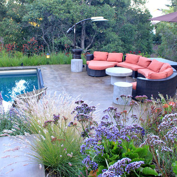 Mill Valley Hillside Garden