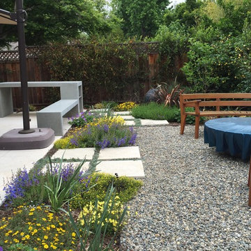 Modern Front and Rear Yard Garden