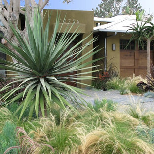 No Grass Front Yard | Houzz