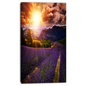 Beautiful Sunset over Lavender Field, Floral Canvas Art Print, 16"x32"