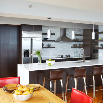 A Room with a View - Chicago, IL Kitchen