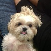 Anu Sharma's photo