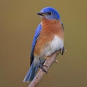 Erin Marsh's photo