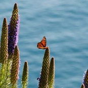 Steve Byars's photo