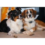 Denell Dickinson's photo