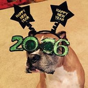 Rick Payne's photo