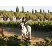 Ximena Ponce's photo