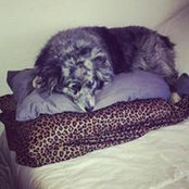 Sarah Journell's photo