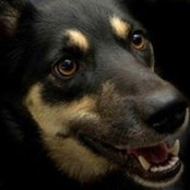 Jeanne Schnackenberg's photo