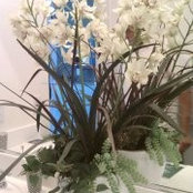 Carolyn Ramirez's photo