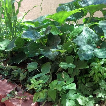 Our Work