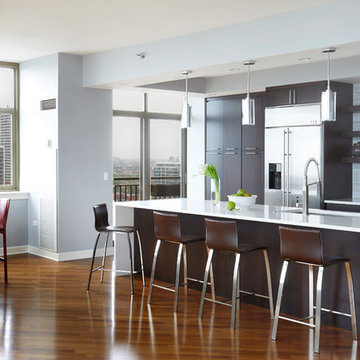A Room with a View - Chicago, IL Kitchen