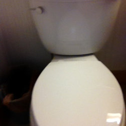 Toilets - Toilets