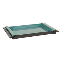 tray