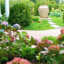 outdoor living