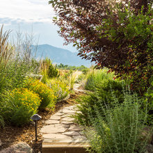 Back/font upkeep yard thoughts