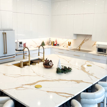 Modern Kitchen with Built-In Appliances and Clean Minimalist Design