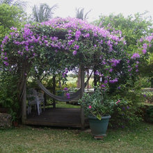 Outdoor Room