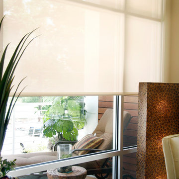 Motorized Solar Shades