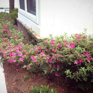 Our Work
