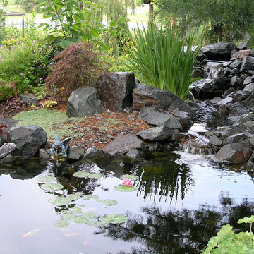 Suburban Side and Backyard Wonderland!