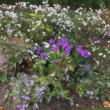 Beautiful Fall Perennial Garden